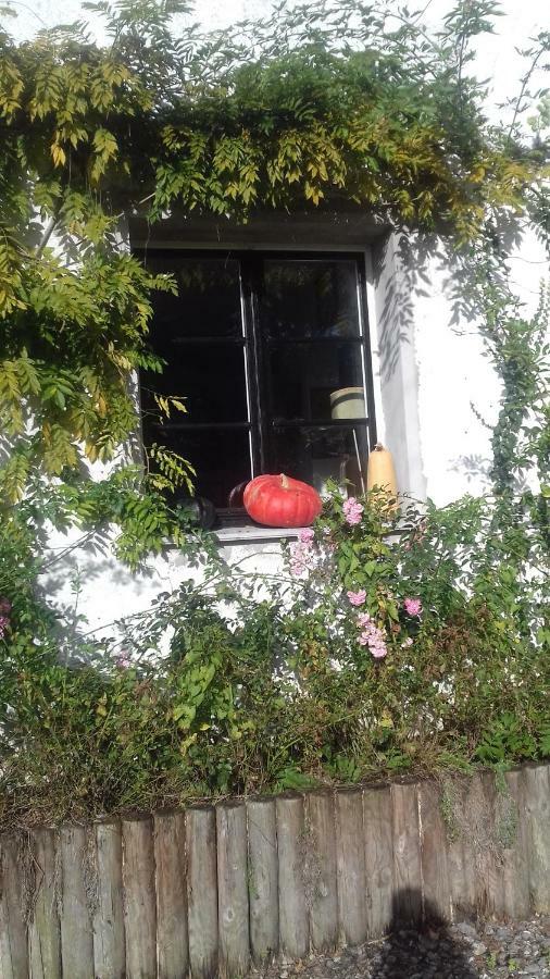 La Colline Des Roses Bed & Breakfast Conchil-le-Temple Ngoại thất bức ảnh